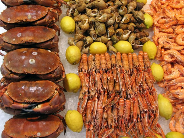Classification of seafood