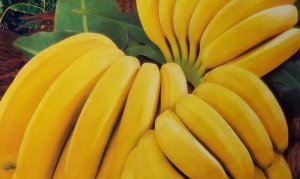 Канарские бананы